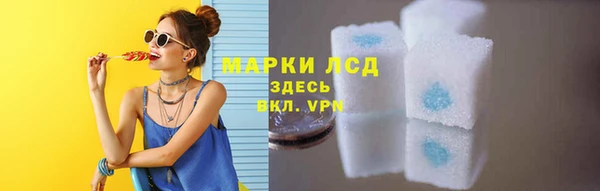 СК Балахна